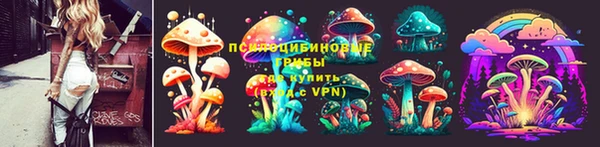 тгк Заволжск